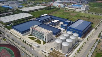 天府菜油 從四川沃土到淘寶平臺，打造國內一流糧油品牌的品牌視覺之旅